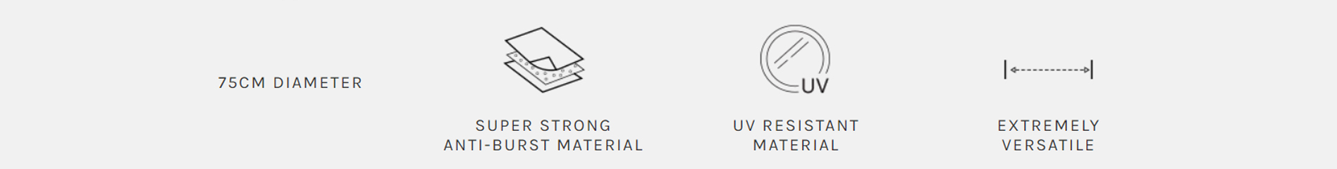 Icons for exercise ball features
